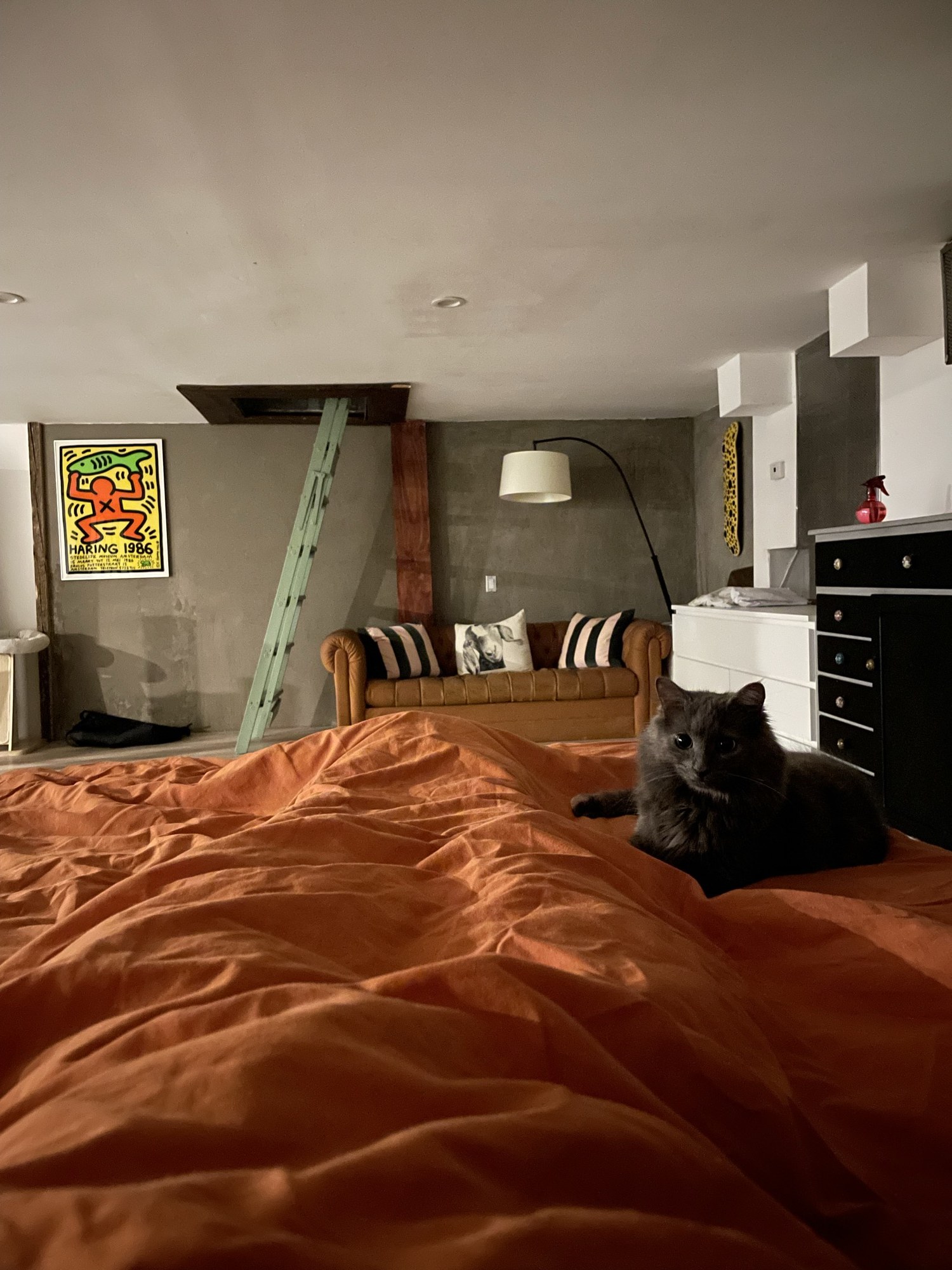 Bedroom after renovation